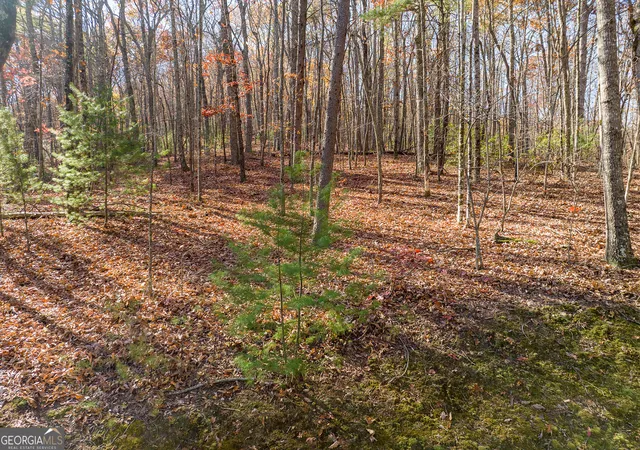Photo 4 of Land for sale at Lot 7 Joseph Anderson Trl, Ellijay, GA 30536 | MLS# 10852409 | Listing updated on 2026-10-08
