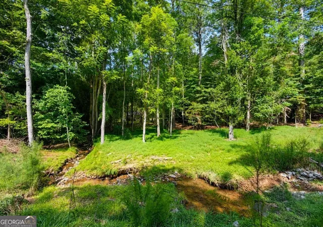 Land for sale at Lt 880 Matrix Cir #880, Ellijay, GA 30540 | MLS# 10843770