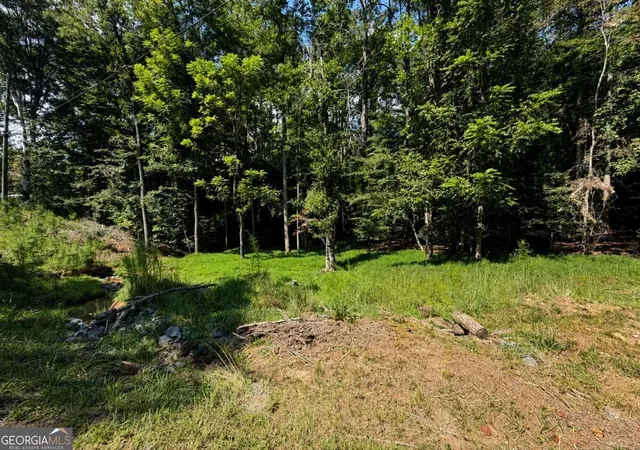 Photo 2 of Land for sale at Lt 880 Matrix Cir #880, Ellijay, GA 30540 | MLS# 10843770 | Listing updated on 2026-10-25