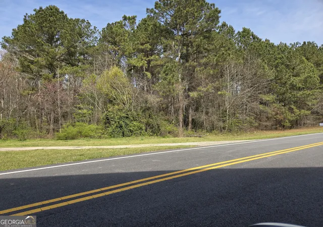 Photo 3 of Land for sale at 0 Bear Crk Blvd #00, Hampton, GA 30228 | MLS# 10851667 | Listing updated on 2026-10-07