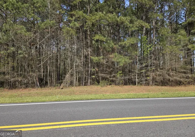 Photo 4 of Land for sale at 0 Bear Crk Blvd #00, Hampton, GA 30228 | MLS# 10851667 | Listing updated on 2026-10-07