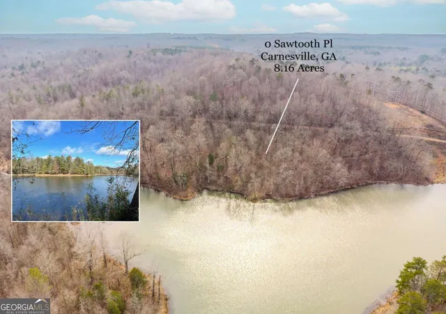 Photo 1 of Land for sale at 0 Sawtooth Pl, Carnesville, GA 30521 | MLS# 10690562 | Listing updated on 2026-09-01
