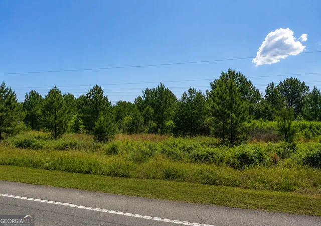 Photo 10 of Land for sale at 27 Acres Flamingo Est, Hawkinsville, GA 31036 | MLS# 10820813 | Listing updated on 2026-09-10