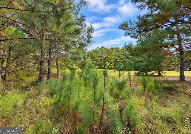 Photo 3 of Land for sale at 27 Acres Flamingo Est, Hawkinsville, GA 31036 | MLS# 10820813 | Listing updated on 2026-09-30