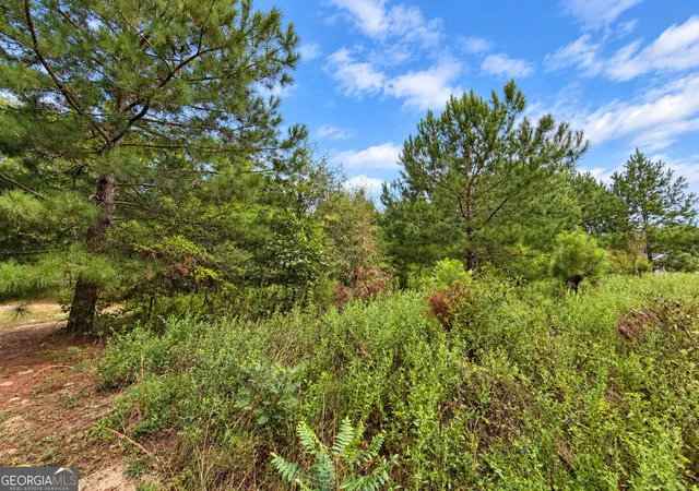 Photo 3 of Land for sale at 27 Acres Flamingo Est, Hawkinsville, GA 31036 | MLS# 10820813 | Listing updated on 2026-10-20