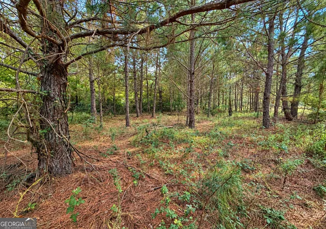 Photo 4 of Land for sale at 27 Acres Flamingo Est, Hawkinsville, GA 31036 | MLS# 10820813 | Listing updated on 2026-10-20