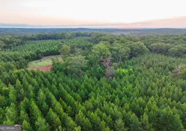 Photo 2 of Land for sale at V/l Highland Cir, Flovilla, GA 30216 | MLS# 10844441 | Listing updated on 2026-10-09