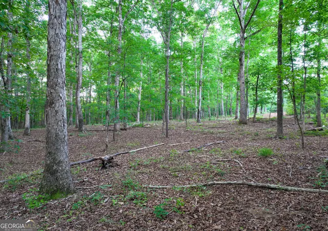 Photo 3 of Land for sale at V/l Highland Cir, Flovilla, GA 30216 | MLS# 10844441 | Listing updated on 2026-10-09