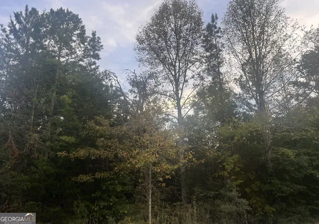 Photo 1 of Land for sale at 0 Andrews Subdivision, Lavonia, GA 30553 | MLS# 10879636 | Listing updated on 2026-10-27