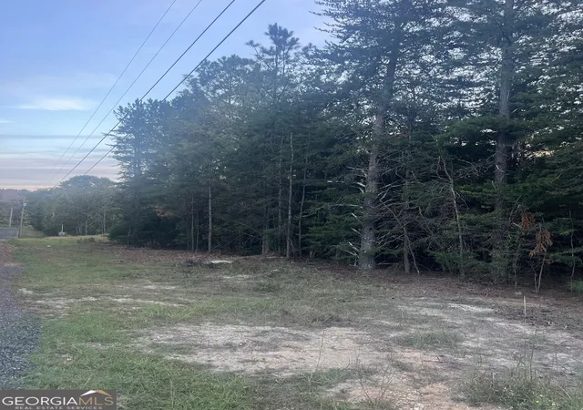 Photo 2 of Land for sale at 0 Andrews Subdivision, Lavonia, GA 30553 | MLS# 10879636 | Listing updated on 2026-10-27