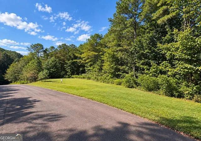 Photo 1 of Land for sale at Lt 45 Grandview Ln, Ellijay, GA 30536 | MLS# 10867199 | Listing updated on 2026-10-27