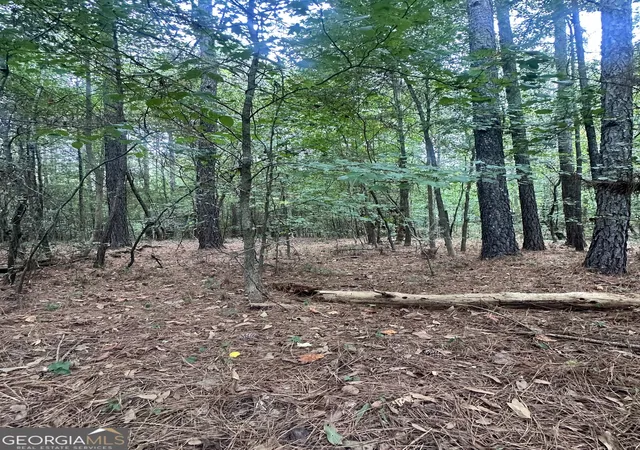 Photo 3 of Land for sale at 1521 Cordele Rd, Bowman, GA 30624 | MLS# 10849982 | Listing updated on 2026-10-05