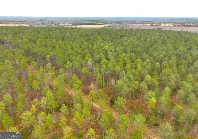 Photo 3 of Land for sale at 05 Seneca St Ext, Calhoun Falls, SC 29628 | MLS# 10848240 | Listing updated on 2026-09-17