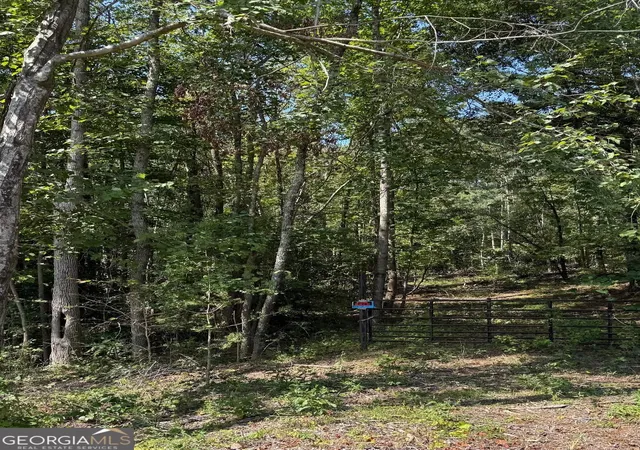 Photo 1 of Land for sale at 0 Hwy 92 & 166, Douglasville, GA 30135 | MLS# 10841339 | Listing updated on 2026-10-15