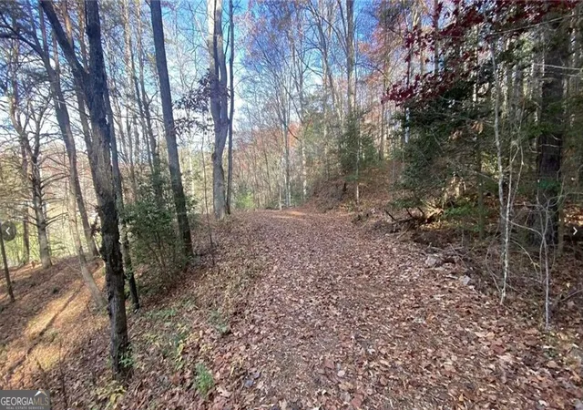 Photo 1 of Land for sale at 1 Barefoot Hills Rd, Hiawassee, GA 30546 | MLS# 10840220 | Listing updated on 2026-09-14