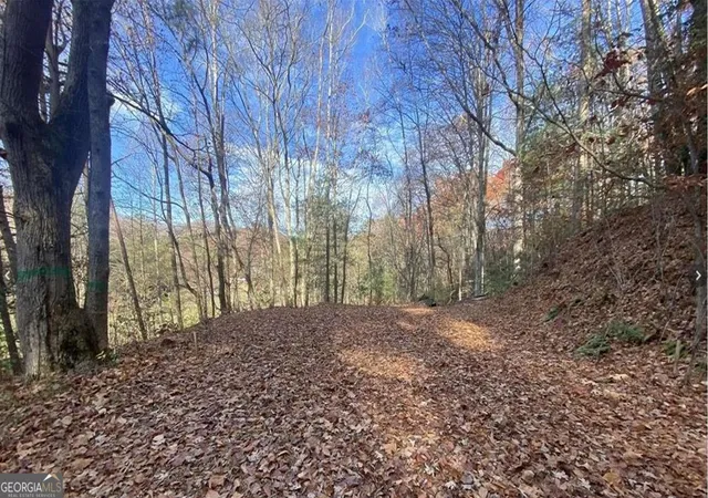 Photo 2 of Land for sale at 1 Barefoot Hills Rd, Hiawassee, GA 30546 | MLS# 10840220 | Listing updated on 2026-09-14