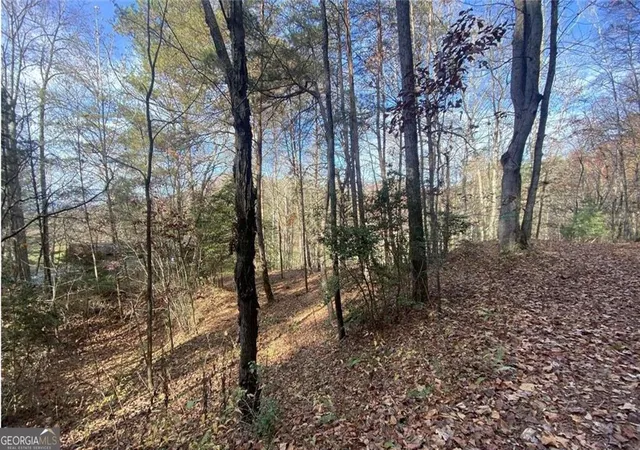 Photo 3 of Land for sale at 1 Barefoot Hills Rd, Hiawassee, GA 30546 | MLS# 10840220 | Listing updated on 2026-09-14
