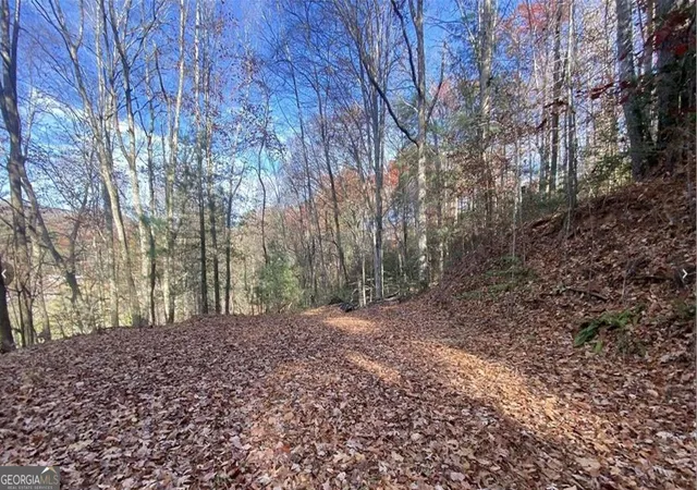 Photo 4 of Land for sale at 1 Barefoot Hills Rd, Hiawassee, GA 30546 | MLS# 10840220 | Listing updated on 2026-09-14