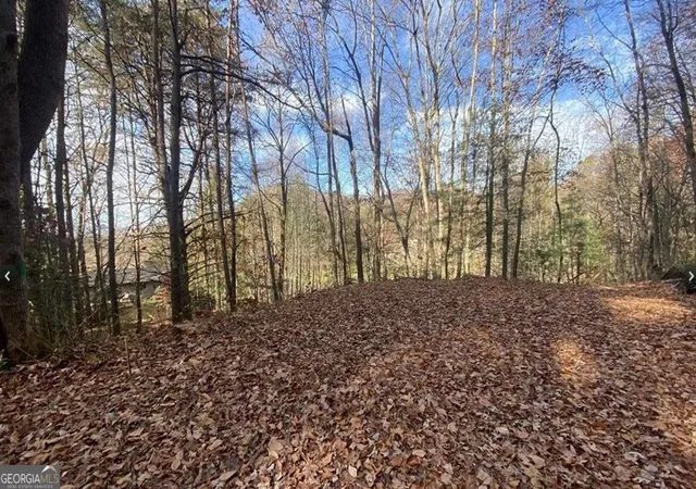 Photo 6 of Land for sale at 1 Barefoot Hills Rd, Hiawassee, GA 30546 | MLS# 10840220 | Listing updated on 2026-09-14