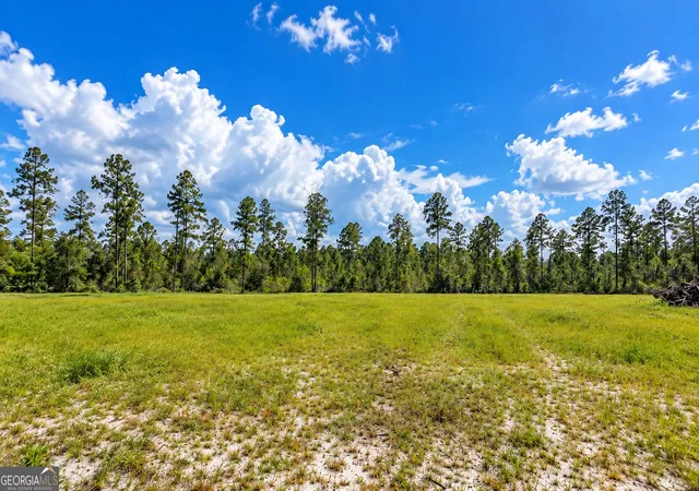 Land for sale at 821 Okefenokee Clb Rd, Folkston, GA 31537 | MLS# 10844165