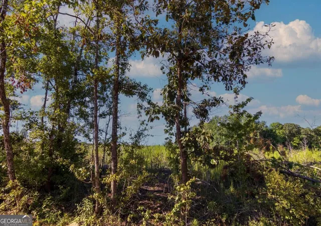 Photo 1 of Land for sale at Tract 6 Carlisle Gap Rd, Woodland, GA 31836 | MLS# 10837458 | Listing updated on 2026-09-30