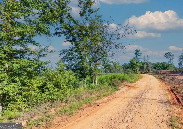 Photo 2 of Land for sale at Tract 6 Carlisle Gap Rd, Woodland, GA 31836 | MLS# 10837458 | Listing updated on 2026-09-30