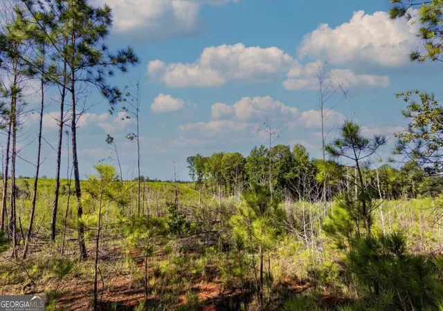 Photo 3 of Land for sale at Tract 6 Carlisle Gap Rd, Woodland, GA 31836 | MLS# 10837458 | Listing updated on 2026-09-30