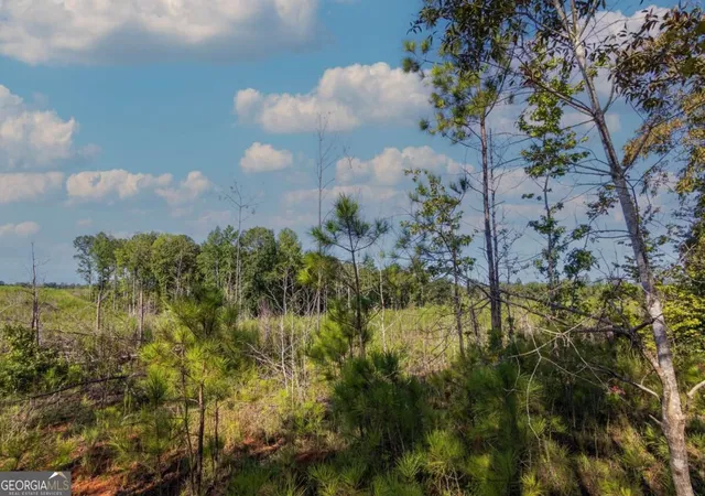 Photo 3 of Land for sale at Tract 6 Carlisle Gap Rd, Woodland, GA 31836 | MLS# 10837458 | Listing updated on 2026-09-30