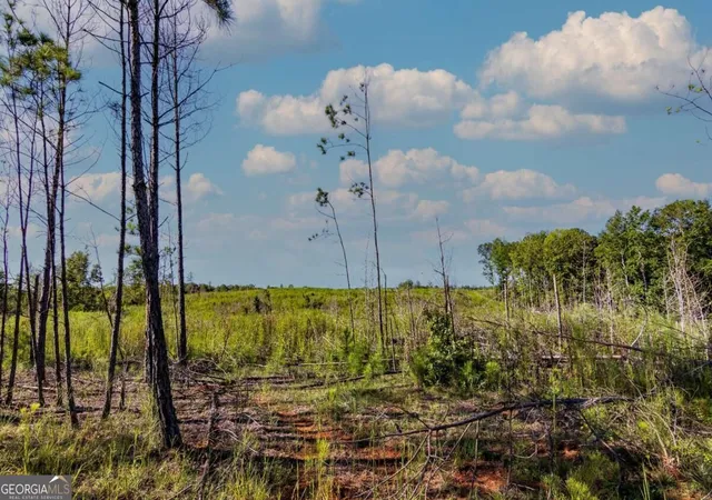 Photo 4 of Land for sale at Tract 6 Carlisle Gap Rd, Woodland, GA 31836 | MLS# 10837458 | Listing updated on 2026-09-30