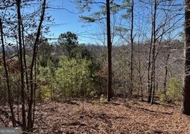 Photo 2 of Land for sale at 0 Mile High Ln, Blairsville, GA 30512 | MLS# 10837290 | Listing updated on 2026-09-15