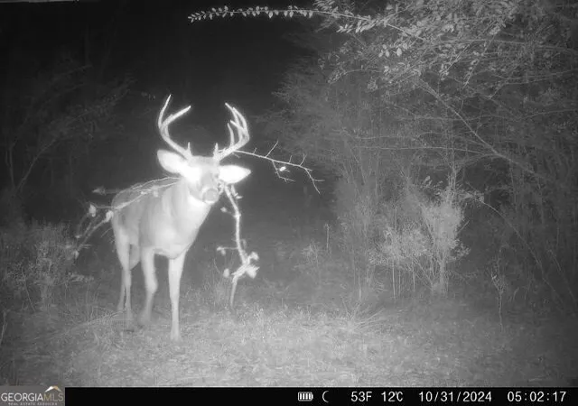 Photo 4 of Land for sale at 2 Seven Islands Rd, Madison, GA 30650 | MLS# 10871768 | Listing updated on 2026-10-27