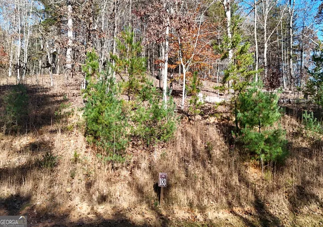 Land for sale at Lot 183 Northshore Dr, Cleveland, GA 30528 | MLS# 10851936