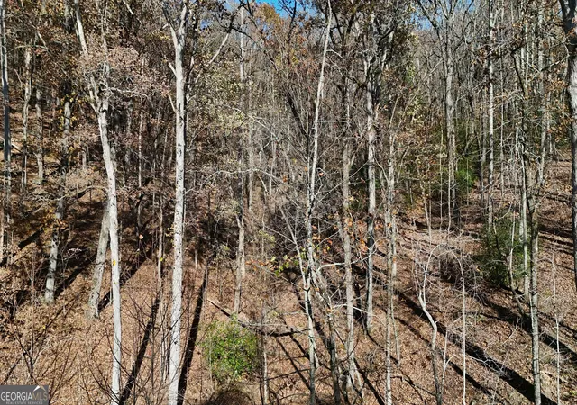 Photo 3 of Land for sale at Lot 183 Northshore Dr, Cleveland, GA 30528 | MLS# 10851936 | Listing updated on 2026-10-07
