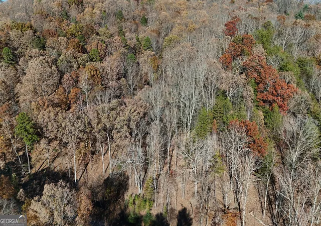 Photo 4 of Land for sale at Lot 183 Northshore Dr, Cleveland, GA 30528 | MLS# 10851936 | Listing updated on 2026-10-07