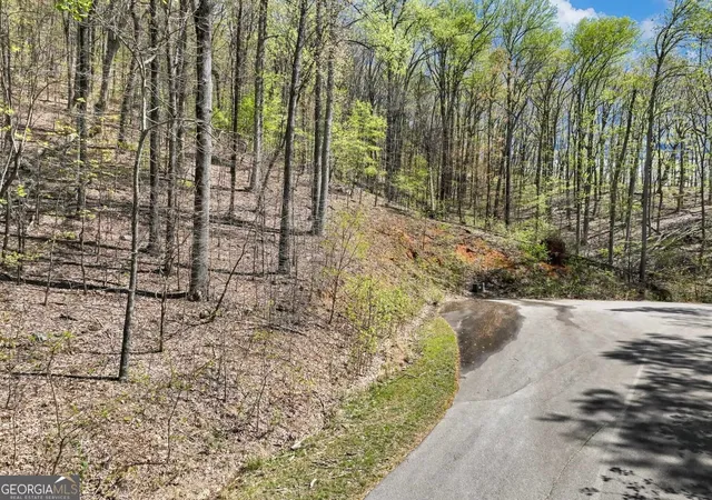 Photo 2 of Land for sale at 0 Stone Cliff Tr, Cleveland, GA 30528 | MLS# 10841936 | Listing updated on 2026-09-22