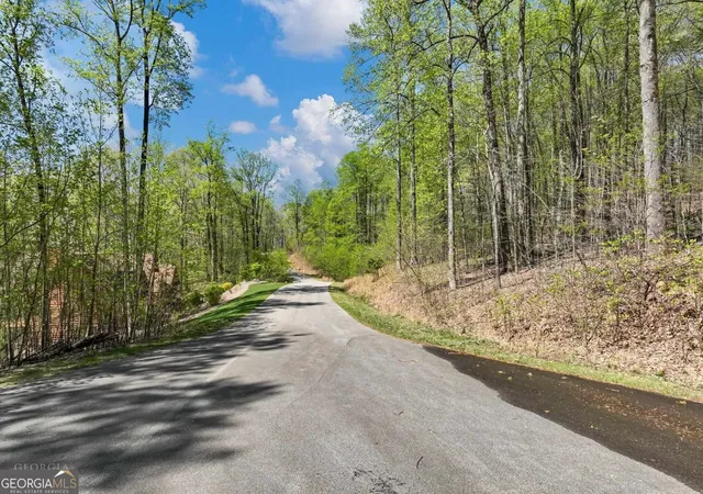 Photo 3 of Land for sale at 0 Stone Cliff Tr, Cleveland, GA 30528 | MLS# 10841936 | Listing updated on 2026-09-22