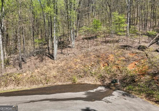 Photo 3 of Land for sale at 0 Stone Cliff Tr, Cleveland, GA 30528 | MLS# 10841936 | Listing updated on 2026-09-22