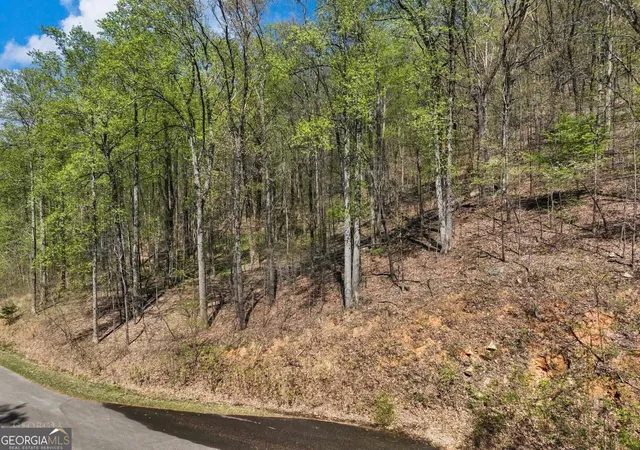 Photo 4 of Land for sale at 0 Stone Cliff Tr, Cleveland, GA 30528 | MLS# 10841936 | Listing updated on 2026-09-22