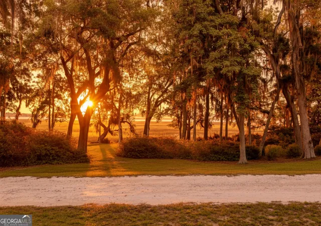 Photo 1 of Land for sale at 0 Brigantine Dunmore Rd, Midway, GA 31320 | MLS# 10792549 | Listing updated on 2026-09-11
