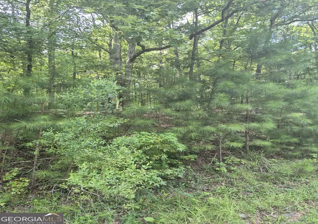 Photo 1 of Land for sale at 441 S Steel Brg Rd, Eatonton, GA 31024 | MLS# 10803943 | Listing updated on 2026-09-03
