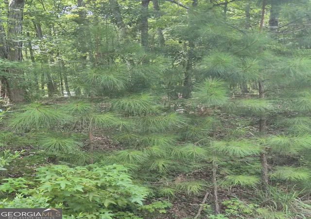 Photo 2 of Land for sale at 441 S Steel Brg Rd, Eatonton, GA 31024 | MLS# 10803943 | Listing updated on 2026-09-03