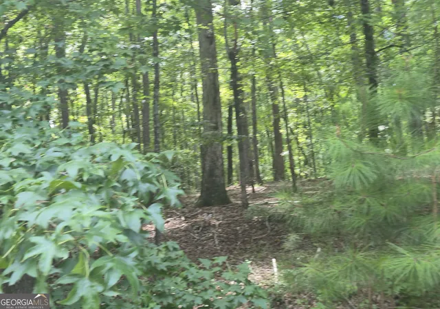 Photo 3 of Land for sale at 441 S Steel Brg Rd, Eatonton, GA 31024 | MLS# 10803943 | Listing updated on 2026-09-03