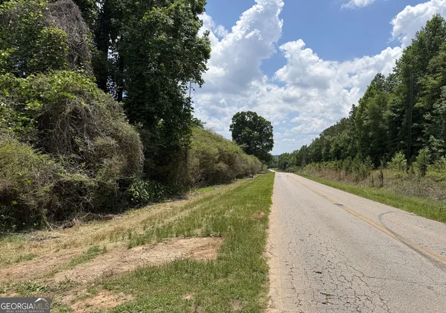 Land for sale at 0 County Rd 87 #4, Roanoke, AL 36274 | MLS# 10839979