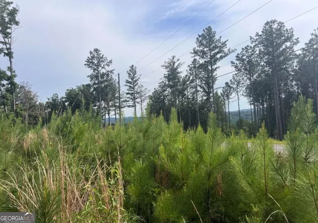 Photo 3 of Land for sale at Lot103 Blalock Mountain Rd, Ellijay, GA 30540 | MLS# 10878759 | Listing updated on 2026-10-24