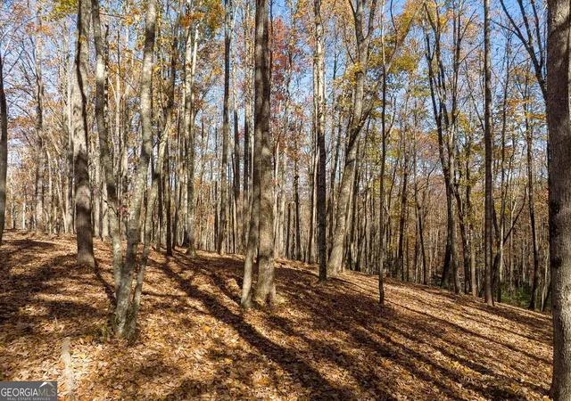 Photo 3 of Land for sale at Lt 17r Tanager Trl, Ellijay, GA 30536 | MLS# 10852287 | Listing updated on 2026-10-08