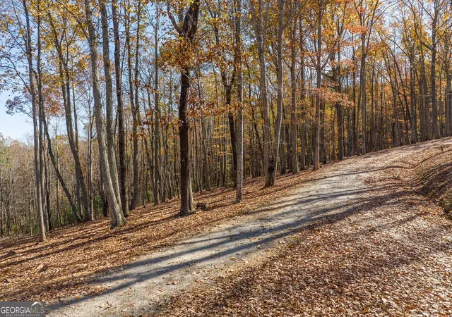 Photo 4 of Land for sale at Lt 17r Tanager Trl, Ellijay, GA 30536 | MLS# 10852287 | Listing updated on 2026-10-08