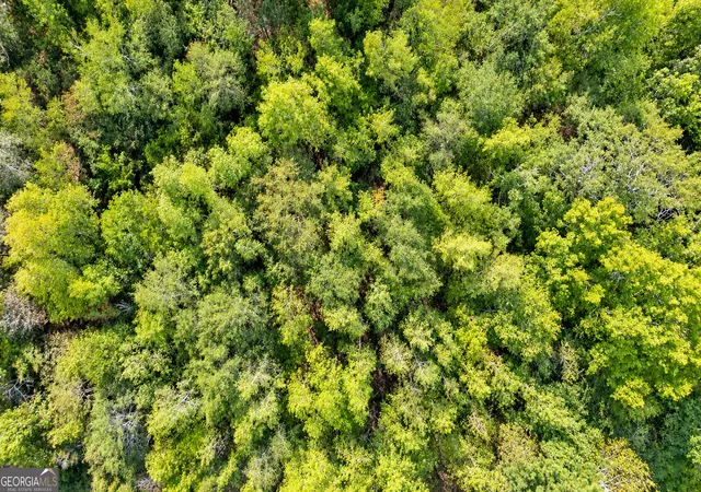 Photo 4 of Land for sale at 0 Ridgeway Rd, Trion, GA 30753 | MLS# 10850461 | Listing updated on 2026-10-08