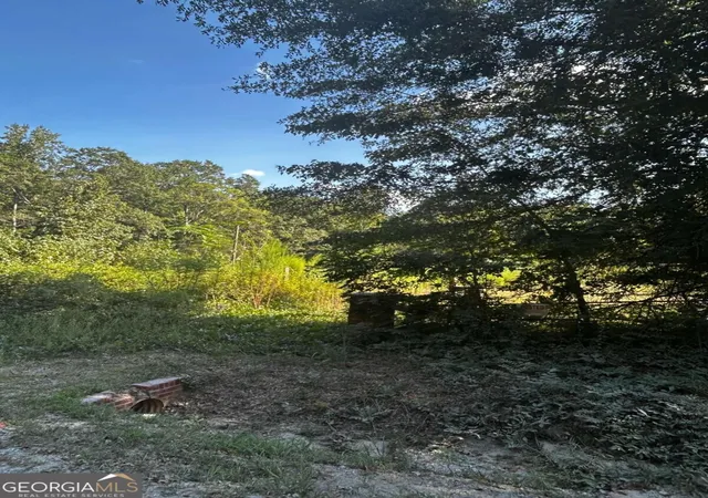 Photo 3 of Land for sale at 12345 Hamilton Rd, Palmetto, GA 30268 | MLS# 10845737 | Listing updated on 2026-09-28