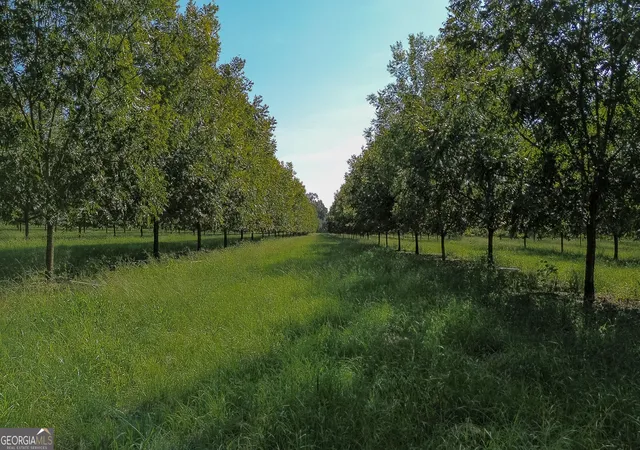 Photo 1 of Land for sale at 412 Old Plains Rd, Plains, GA 31780 | MLS# 10851671 | Listing updated on 2026-10-07