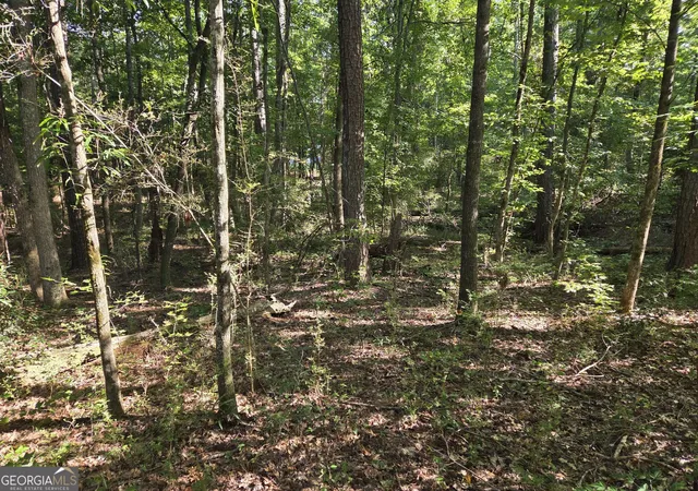 Photo 4 of House for sale at 0 Oak Rd, Jenkinsburg, GA 30234 | MLS# 10832786 | Listing updated on 2026-09-22